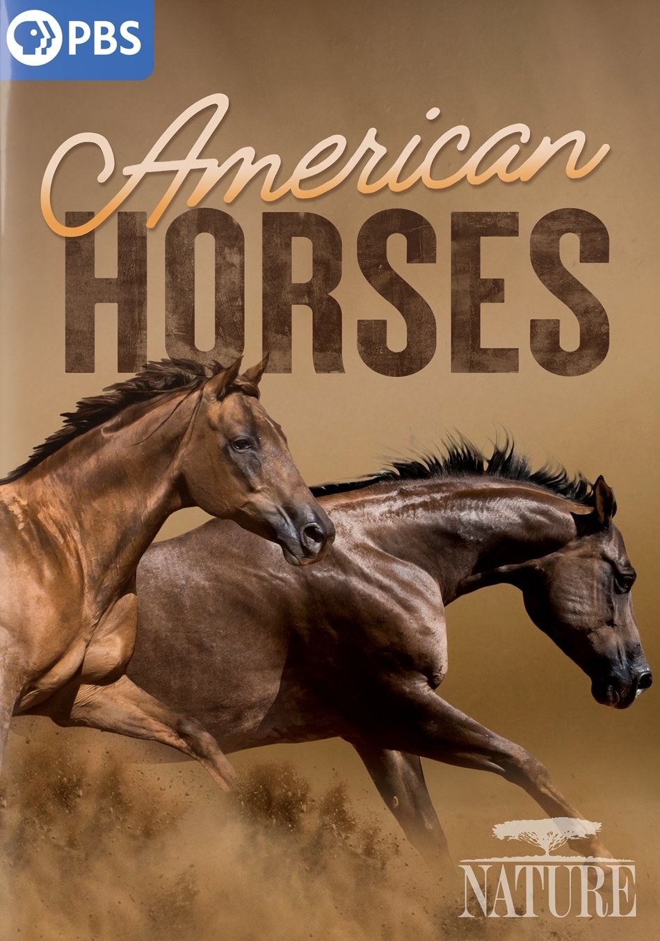 Постер American Horses